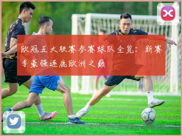 欧冠五大联赛参赛球队全览：新赛季豪强逐鹿欧洲之巅
