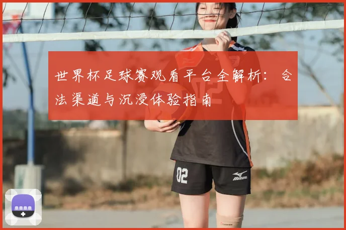 世界杯足球赛观看平台全解析：合法渠道与沉浸体验指南