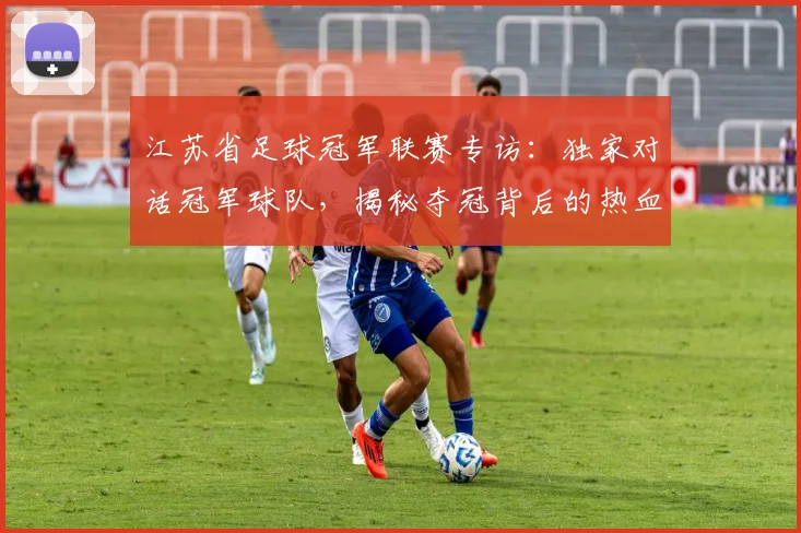 江苏省足球冠军联赛专访：独家对话冠军球队，揭秘夺冠背后的热血征程